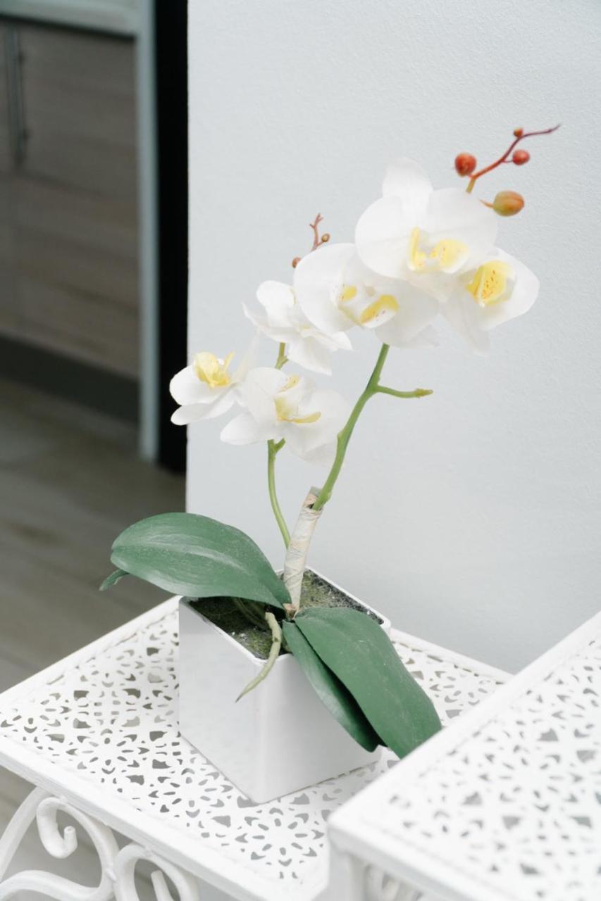 Apartamentos Ganesha Jacó Eksteriør billede